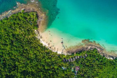 Hindistan cevizi palmiyeli yaz tatili ile hava manzaralı deniz plajı