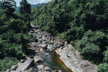 Derin tropikal yağmur ormanlarında güzel şelale doğa hava manzarası