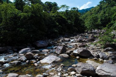 Derin tropikal yağmur ormanlarında güzel şelale doğa hava manzarası