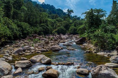 Derin tropikal yağmur ormanlarında güzel şelale doğa hava manzarası