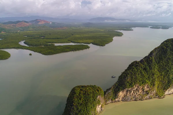 Aerial view mangrove forest sea bay ecology system nature landscape