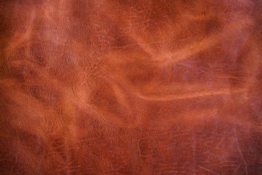 Luxury vintage red brown genuine cow vegetable tanned leather abstract background