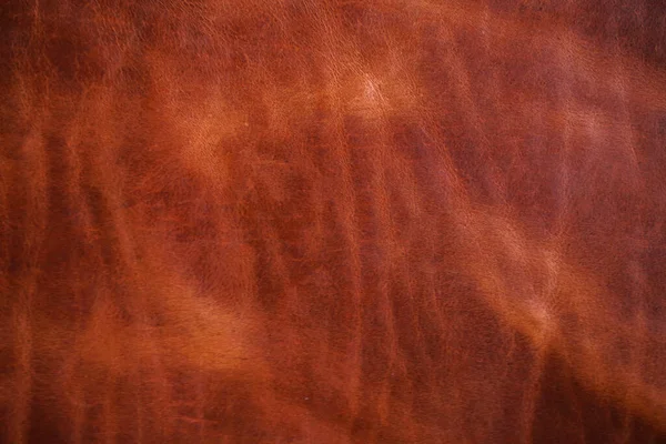 Luxury vintage red brown genuine cow vegetable tanned leather abstract background