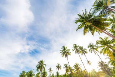 Beyaz kum boş deniz plajı güneşli gün mavi gökyüzü yaz seyahati manzarası