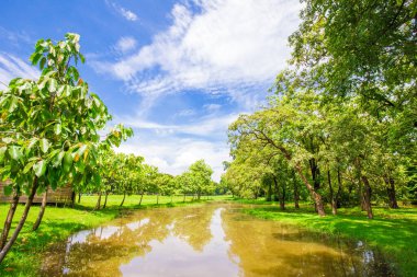 Göletli yeşil ağaç parkı mavi gökyüzüne karşı doğa manzarasını bulutlandırır