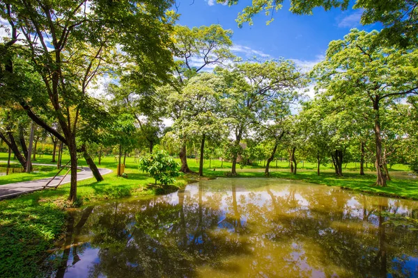 Green Tree Park Pond Blue Sky Cloud Nature Landscape — Stock fotografie