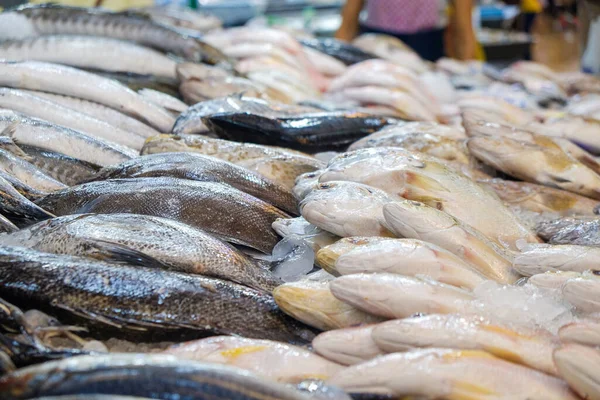 Různé Mořské Ryby Prodávají Ledě Čerstvým Trhu Mořskými Plody — Stock fotografie