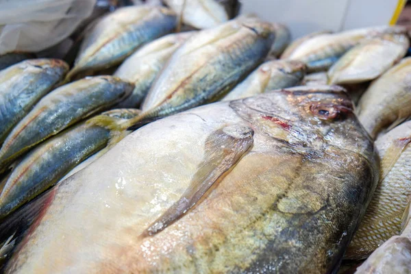 Various sea fish sell on ice in fresh fishery market seafood industry