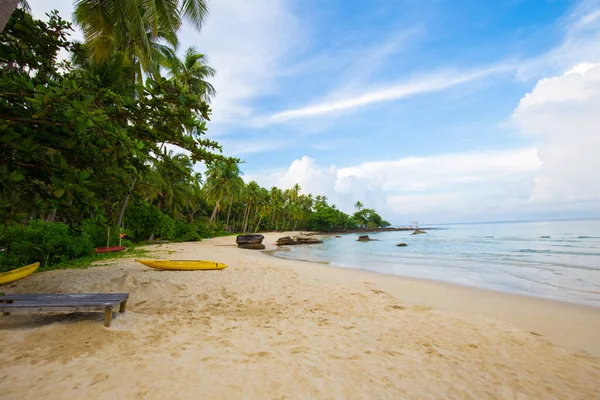 Deniz kıyısı turkuvaz suyunun doğa manzarası bulutlu mavi gökyüzüne karşı yaz tatili