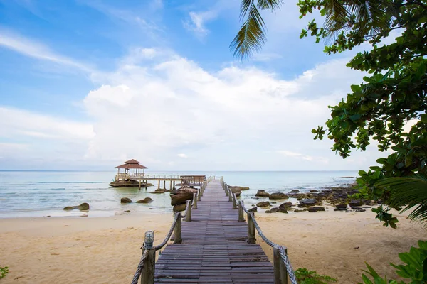 Mavi gökyüzü manzarasına karşı deniz kıyısında tropik hindistan cevizi palmiyesi ağacı.