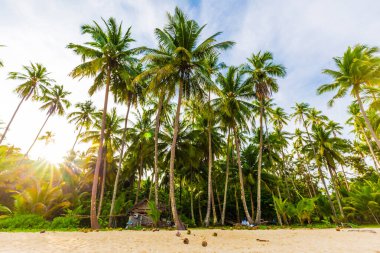 Yaz denizi kumsalı beyaz kum bulutlu mavi gökyüzüne karşı doğa manzarası