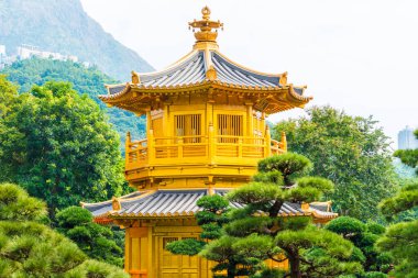 Nan Lian Green Garden 'daki Hong Kong Parkı' nda Altın Çadır Mükemmelliği