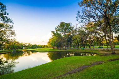 Göletin doğal arka planına sahip yeşil parkta gün batımı