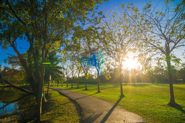 Yeşil halka açık park günbatımı. Ağaçlar ve çayırlarla aydınlık gökyüzü.