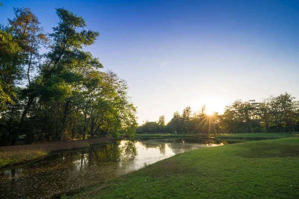 Göletin doğal arka planına sahip yeşil parkta gün batımı