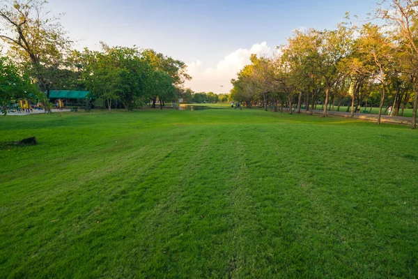 Yeşil ağaç parkı, günbatımı, mavi gökyüzü, doğa manzarasını bulutlandıran çayır.
