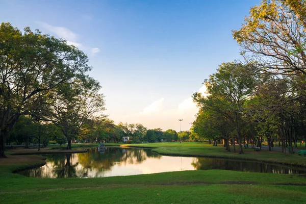 Tramonto Parco Verde Pubblico Con Laghetto Sfondo Naturale — Foto Stock