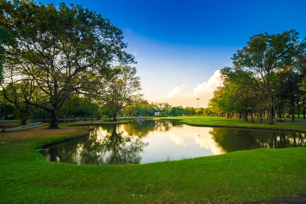 Göletin doğal arka planına sahip yeşil parkta gün batımı