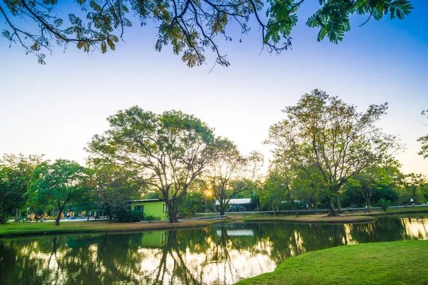 池を背景にした緑の公園での夕日 — ストック写真
