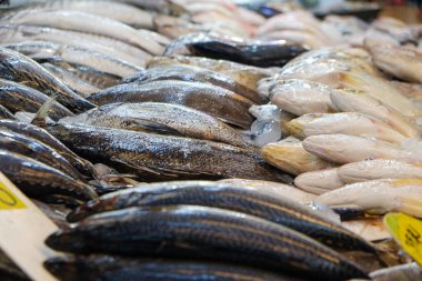 Taze balık pazarında çeşitli deniz balıkları buzda satılıyor.