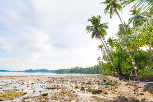 Naturaleza Paisaje Mar Playa Agua Turquesa Contra Cielo Azul Con — Foto de Stock