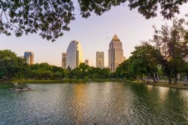 Lumpini parkında ağaç parkı olan şehir binası Bangkok Tayland