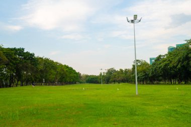 Mavi gökyüzü manzarasına karşı ağaç parkında yeşil çayır çimenleri