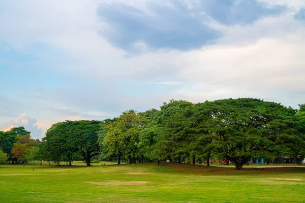 Parque Árboles Verdes Parque Público Ciudad Cielo Azul Con Fondo —  Fotos de Stock