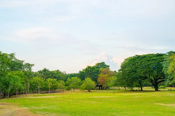 Grönt Träd Park Staden Offentlig Park Blå Himmel Med Moln — Stockfoto