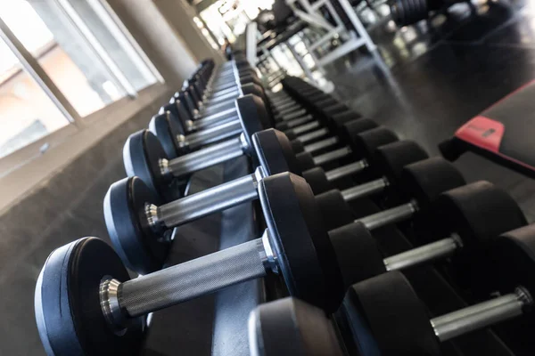 Dumbbell Row Shelf Sport Gym Fitness Equipment — Foto Stock