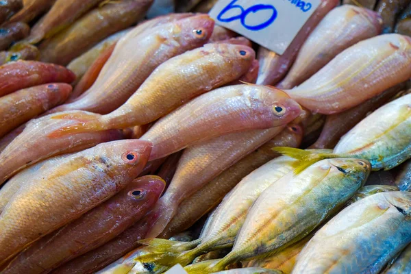 Various fresh sea fish sell in market seafood industry
