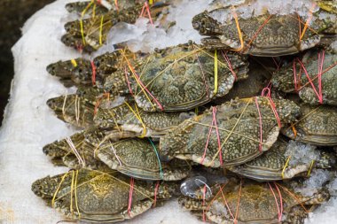 Taze çiğ yengeç deniz ürünleri buzda satılıyor.