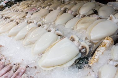 Balıkçılık pazarında buzda taze, lezzetli mürekkep balıkları.
