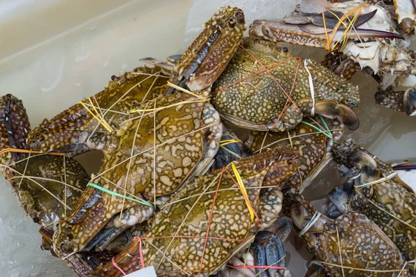 Frische Rohe Krabben Meeresfrüchte Objekt Auf Eis Zum Verkauf — Stockfoto