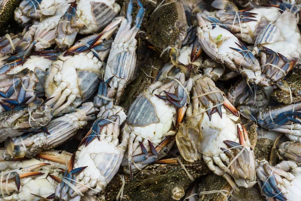 Objeto Frutos Mar Caranguejo Cru Fresco Gelo Para Venda — Fotografia de Stock