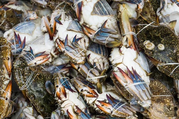 Frische Rohe Krabben Meeresfrüchte Objekt Auf Eis Zum Verkauf — Stockfoto