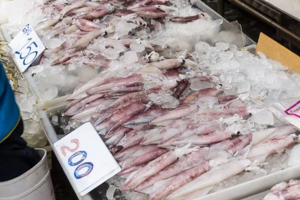 Frische Köstliche Tintenfische Meeresfrüchte Auf Eis Auf Dem Fischmarkt — Stockfoto