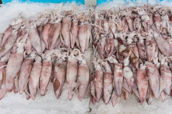 Čerstvé Lahodné Chobotnice Mořské Plody Ledu Rybářském Trhu — Stock fotografie