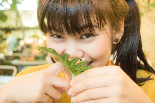 스러운 카페에서 초록빛 아시아인아름다운 여인들의 — 스톡 사진