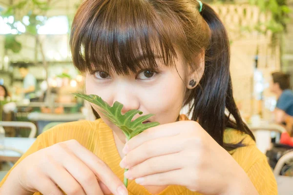 Asiática Hermosa Mujer Con Verde Hoja Vintage Café Sonriendo —  Fotos de Stock