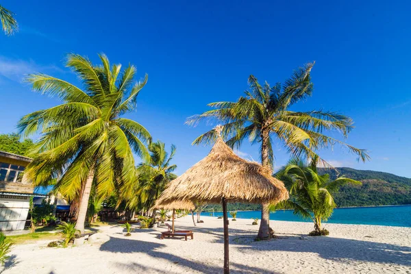 Sillas Playa Madera Con Sombrilla Plantas Secas Naturaleza Playa Arena — Foto de Stock