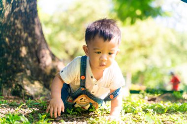 Sevimli 1 yaşındaki erkek bebek sabah parkında yeşil çayır çimlerinde sürünüyor.