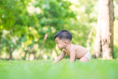 Sevimli 1 yaşındaki erkek bebek sabah parkında yeşil çayır çimlerinde sürünüyor.