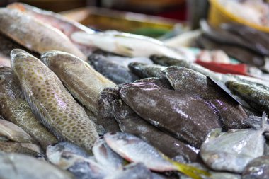 Taze DEA balıkları balıkçılık pazarında deniz ürünleri endüstrisinde satılıyor.