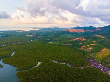 Hava manzaralı mangrov ağacı orman denizi güneş doğar doğa manzarası