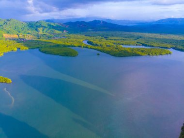 Hava manzaralı mangrov ağacı orman denizi güneş doğar doğa manzarası