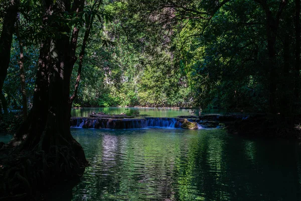 Водоспад Глибоких Тропічних Лісах Зелене Дерево Пейзажі Природи — стокове фото