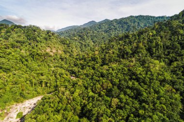 Aerial view green tropical rain forest sunny day nature landscape blue sky