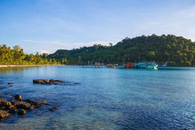 Beautiful sea wave beach with coconut palm tree sunny day summer vacation concept