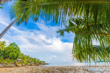 Beautiful sea wave beach with coconut palm tree sunny day summer vacation concept